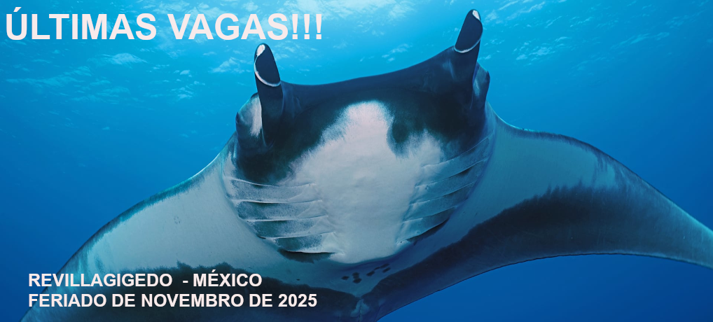 Revillagigedo – Islas Socorro – México – Feriado de 20 de Novembro de 2025