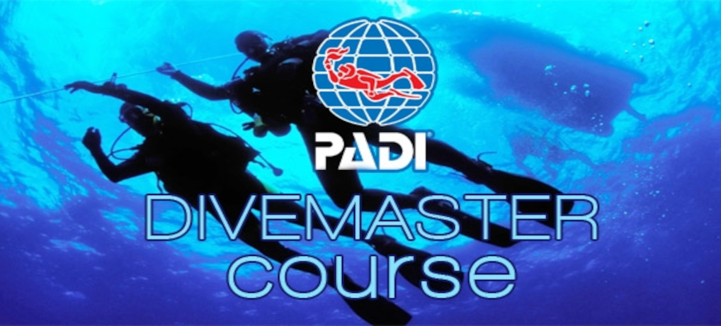 Dive Master – PADI